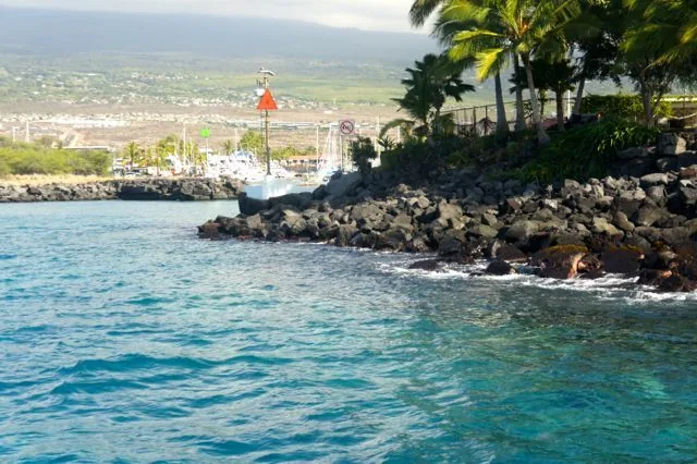 A large body of water surrounded by rocks and palm trees