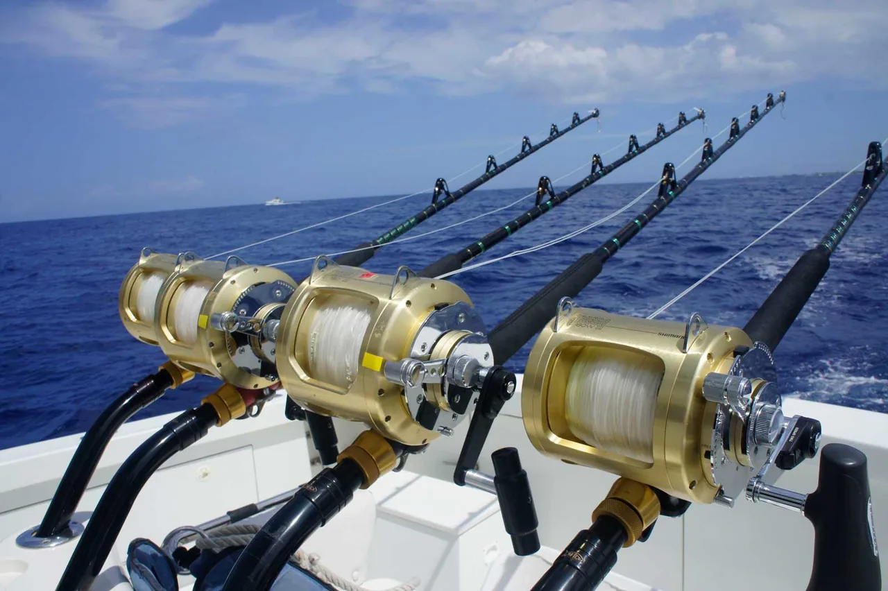 Marlin Grando: a row of fishing rods on a boat in the ocean