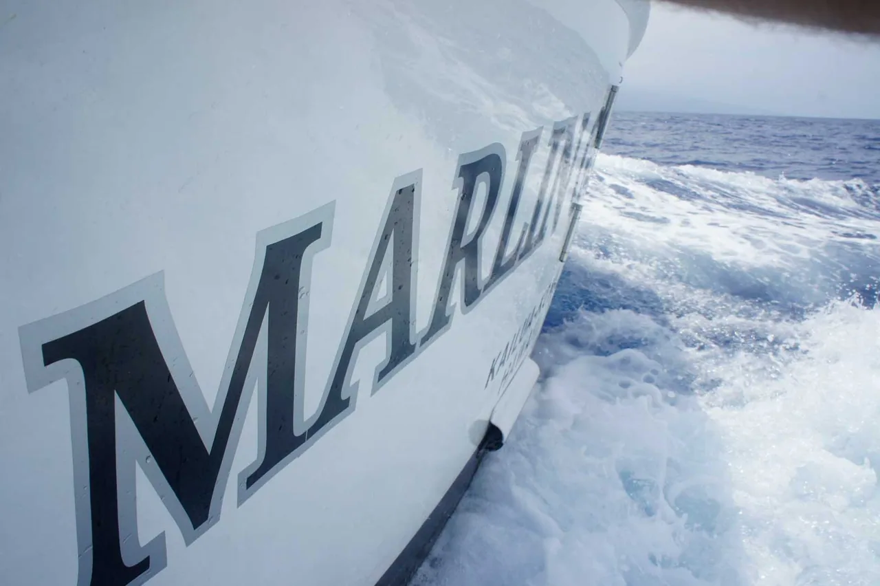 Marlin Grando: the word marlin is on the side of a boat